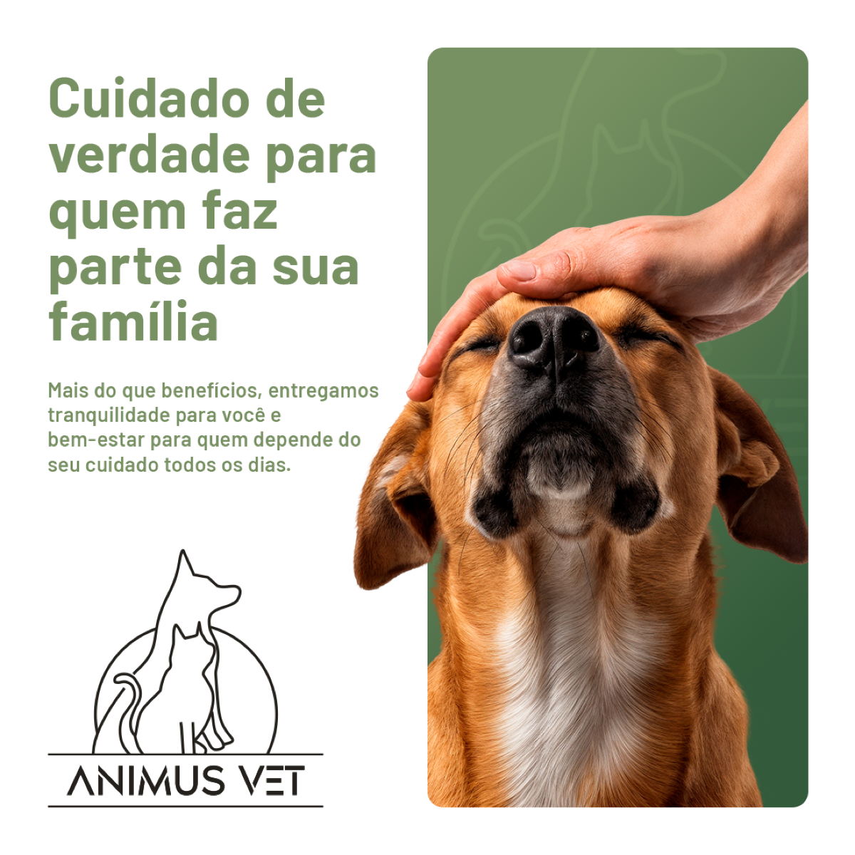 Pet com veterinário Animus Club
